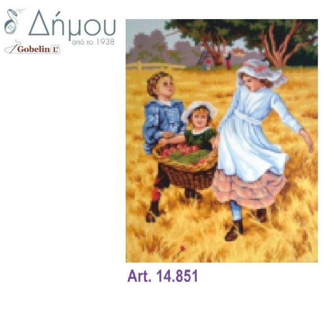 Καμβάς σταμπωτός 60 x 50 cm