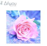 Ψαλίδια ραπτικής 16,5cm/6,5'' PRYM