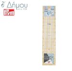Χάρακας 10*45cm