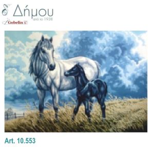Καμβάς σταμπωτός 60 x 80 cm